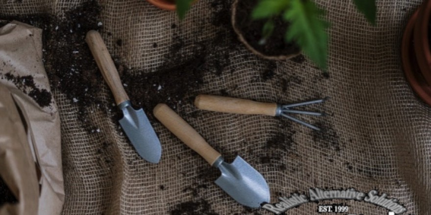 Grow Your Own!