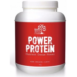 Power Protein (Nutrient Dense Superfood Formula) 1kg Organic Vegan Raw Energy Supplement