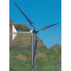 1000 Watt 12, 24, 36, 48V Whisper 200 Wind Turbine